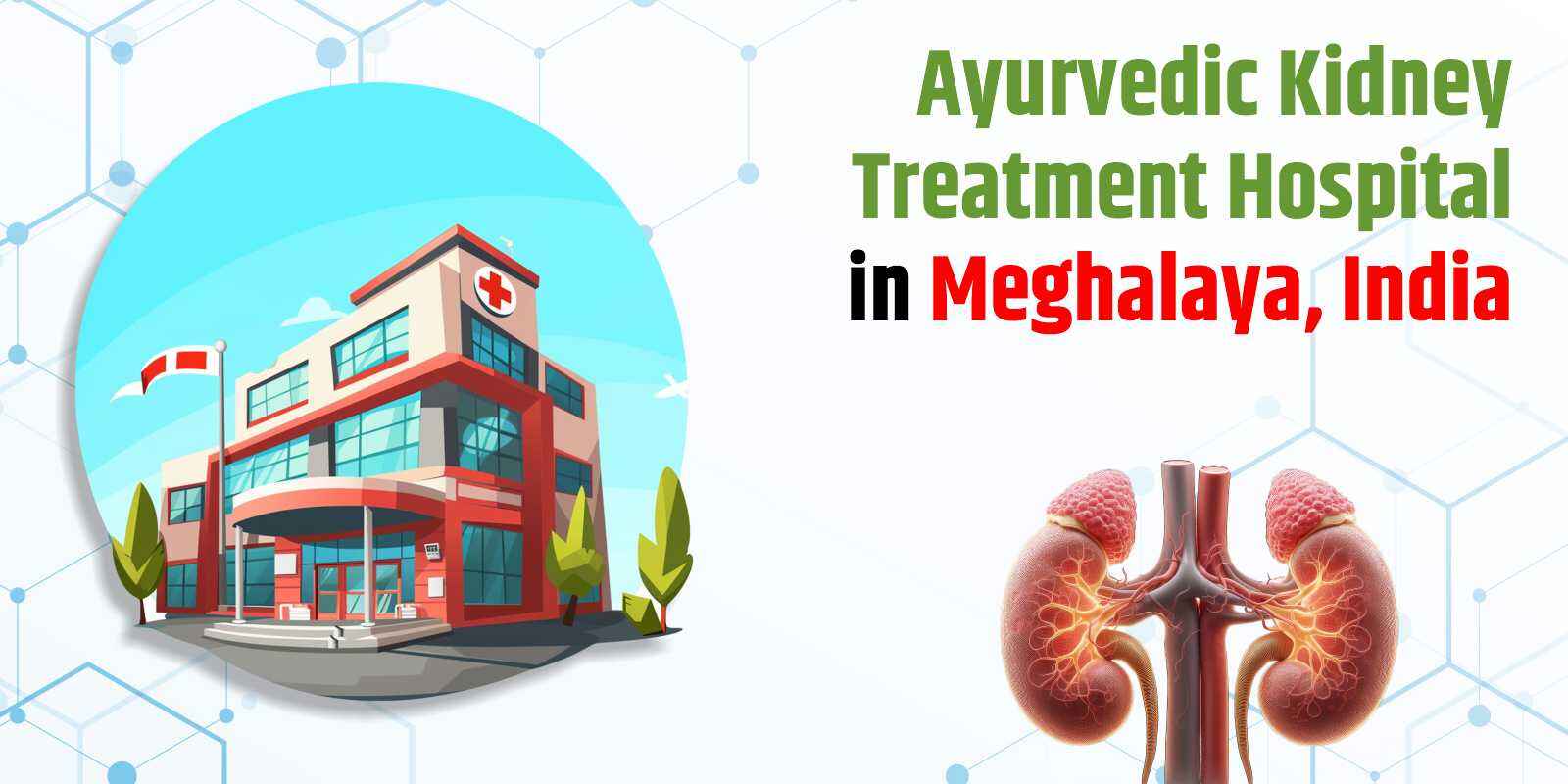 Ayurvedic Kidney Treatment Hospital in Meghalaya, India